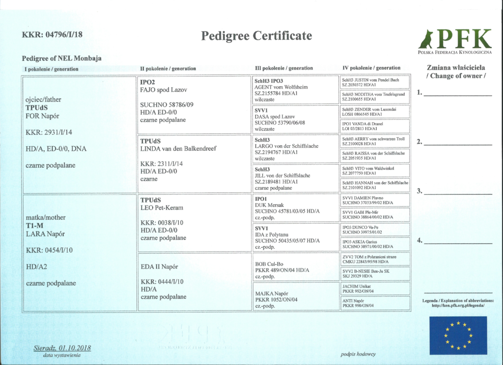 Nel Monbaja - owczarek niemiecki